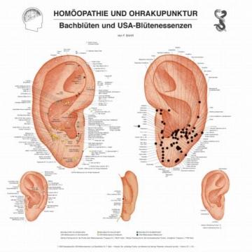 Homöopathie und Ohrakupunktur Poster, Dr. Bahr