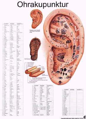 Rüdiger Akupunkturposter, Ohrtafel