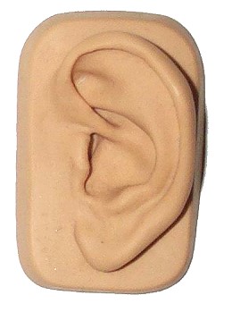 Ohrmodell links, aus Zweikomponenten-Spezialkunststoff