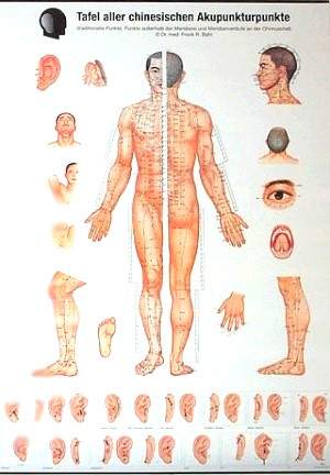 Körperakupunktur-Tafel nach Dr. Bahr, Poster