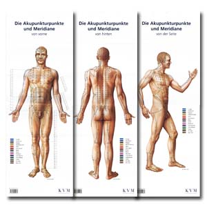 Akupunktur-Poster-Set, Darstellung sämtlicher Akupunkturpunkte von vorne/hinten/seitlich
