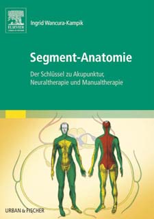 Wancura-Kampik, Segment-Anatomie