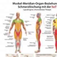 Muskel-Meridian-Organ-Beziehungen, Plakat Schmerzlöschung