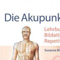 Bihlmaier, Die Akupunktur